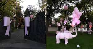 Al estilo millonario, así recibió Gianluca Vacchi a su primer hija en casa