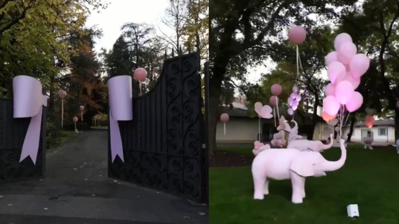 Al estilo millonario, así recibió Gianluca Vacchi a su primer hija en casa