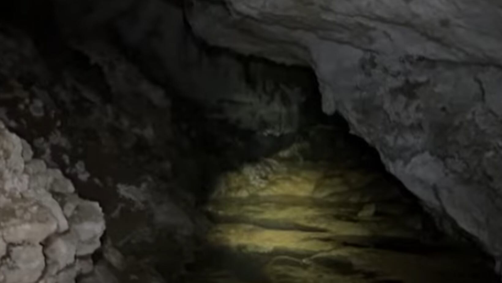 Bosques de Pandora y sus cuevas mágicas