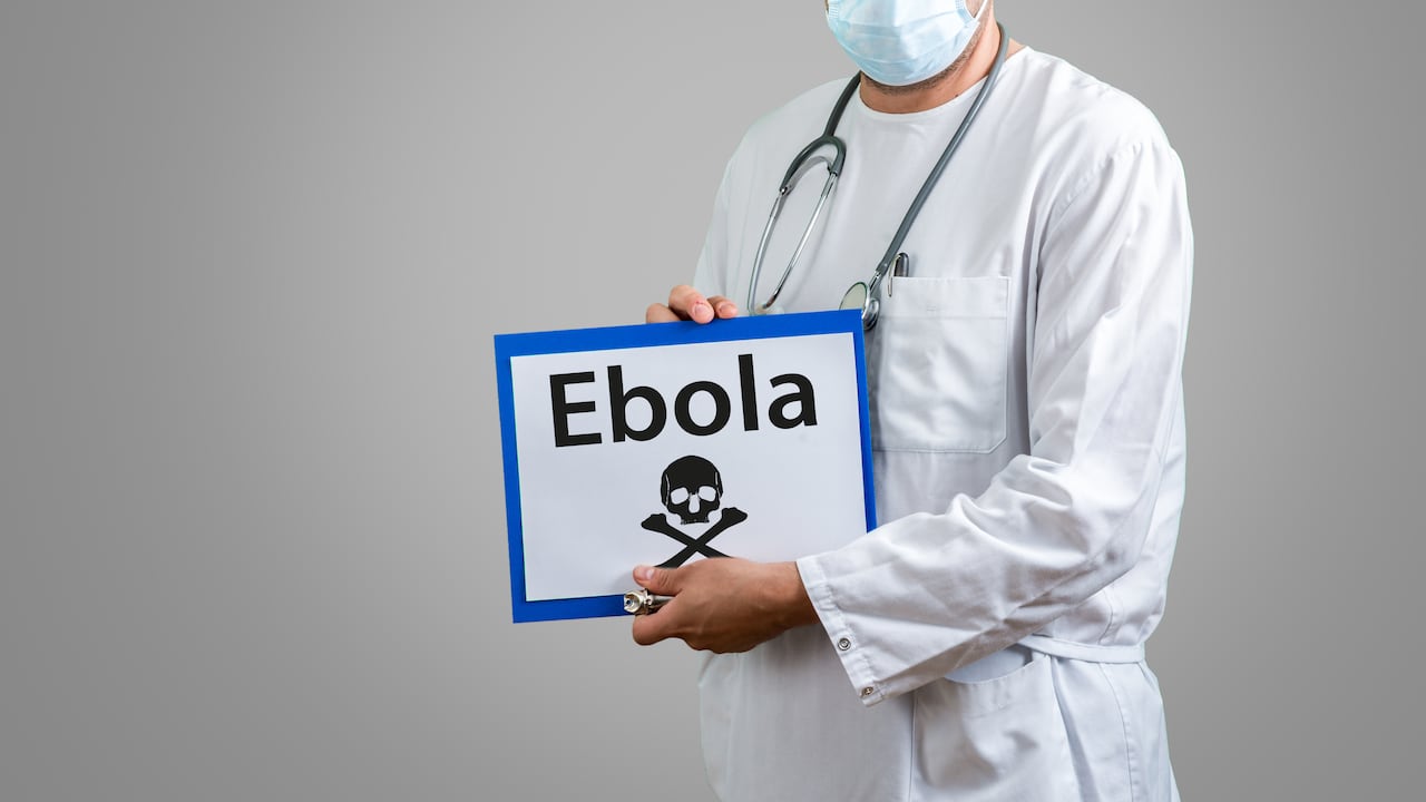 El virus del Ébola se transmite por contacto directo con fluidos de personas infectadas, según la OMS.