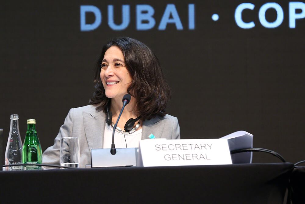 La certeza de Martha Rojas Urrego de que había nacido para dedicarse a la conservación se manifestó tarde en su vida, más o menos en 1985 cuando, curiosamente, ya llevaba algunos años recorriendo ese camino.