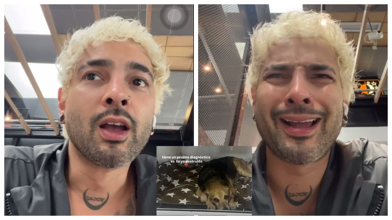 Juan Pablo Jaramillo habló de la situación de su mascota.