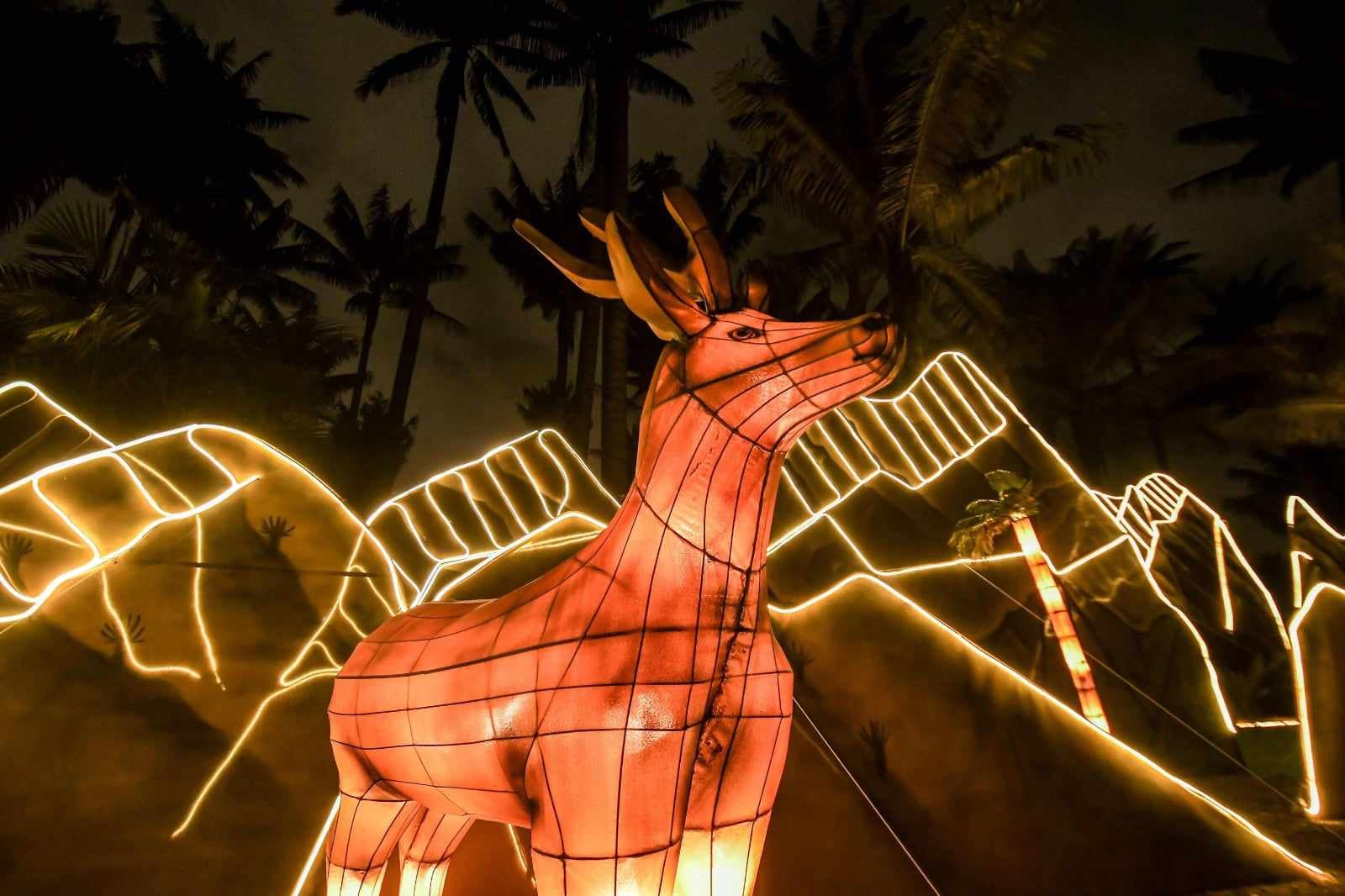 Festival de luces Jardín Botánico Bogotá