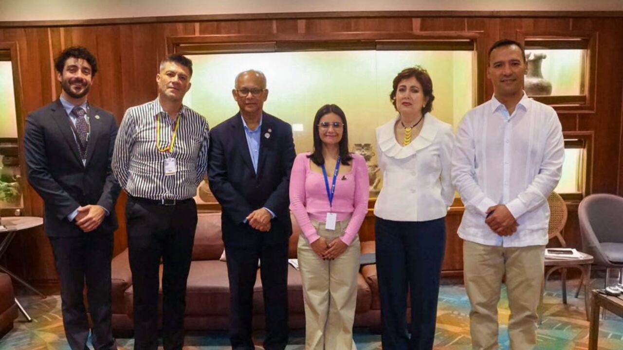 Angie Rodríguez, directora del Dapre en reunión con la OEA.