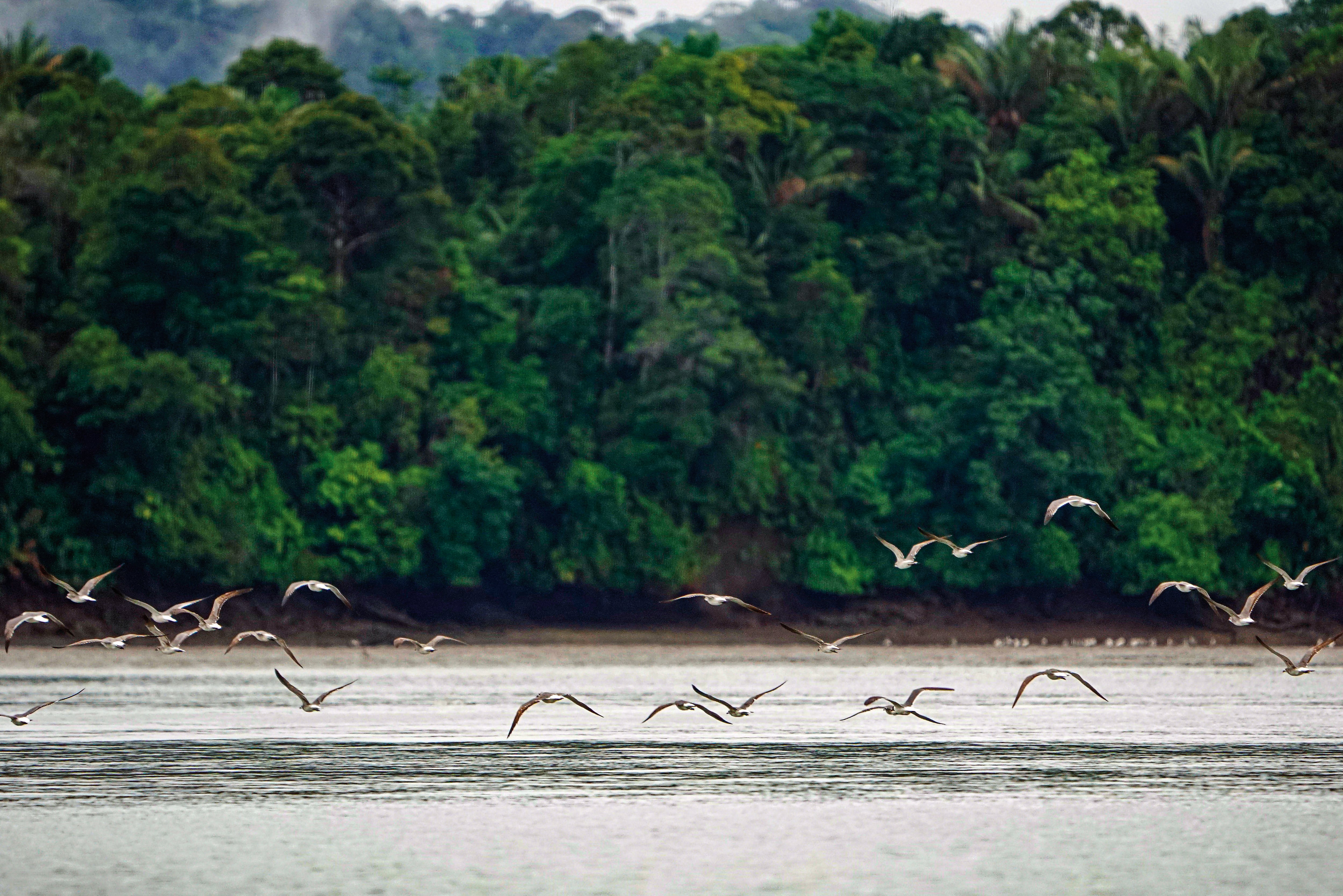 Especial Turismo, Columna CAF, Mejor Colombia