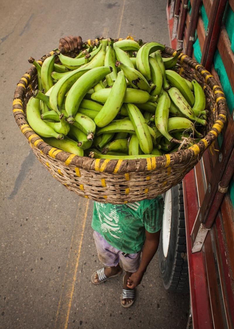 El hombre usaba uno de estos guineos dentro de su camisa para simular un arma de fuego.