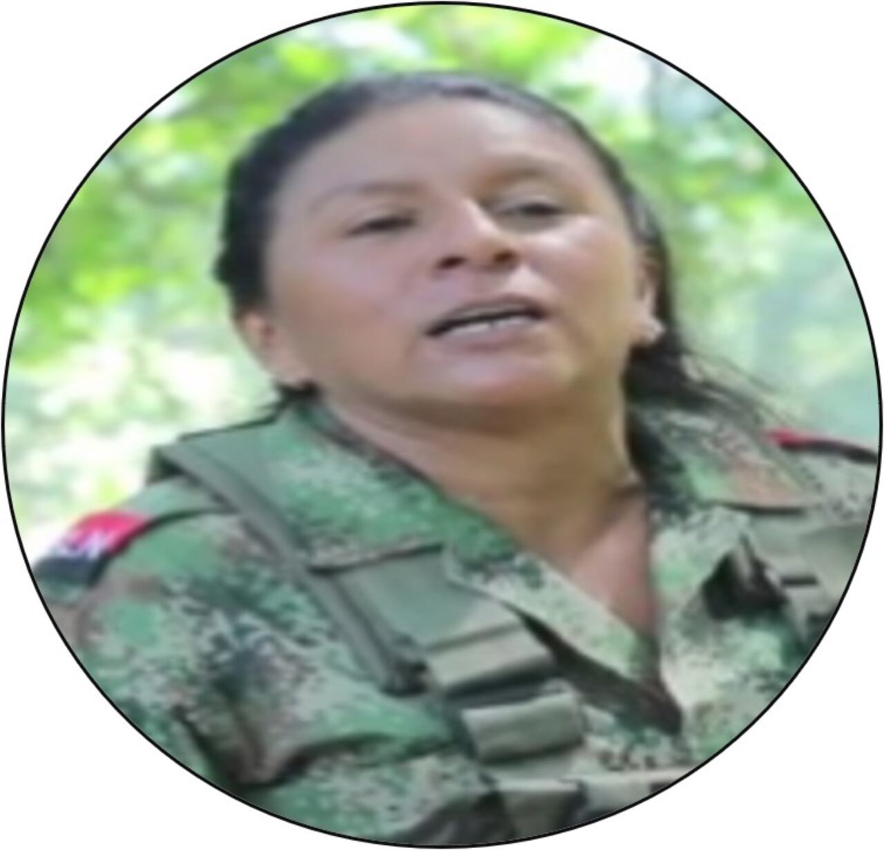 Alias Patricia, cabecilla del frente norte del ELN.