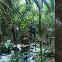 La noticia ha desatado la alegría en todo Colombia y ha sido festejado por diferentes sectores.