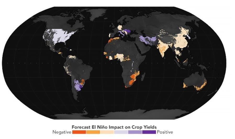 fenómeno el niño del niño