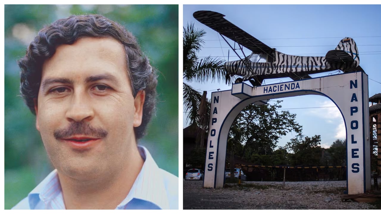 El extinto narco Pablo Escobar llevó decenas de animales exóticos a su Hacienda Nápoles, algunos son hoy un dolor de cabeza para el medio ambiente.