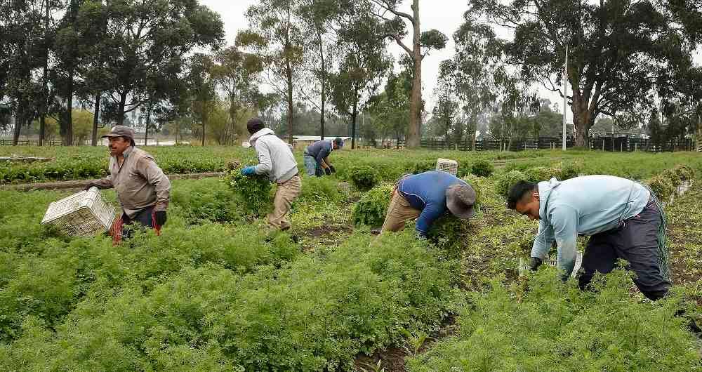 José Manuel Restrepo aseguró que si no se revisan las cifras de la microeconomía, en el mediano plazo, se revertirían los balances positivos alcanzados en temas macro.