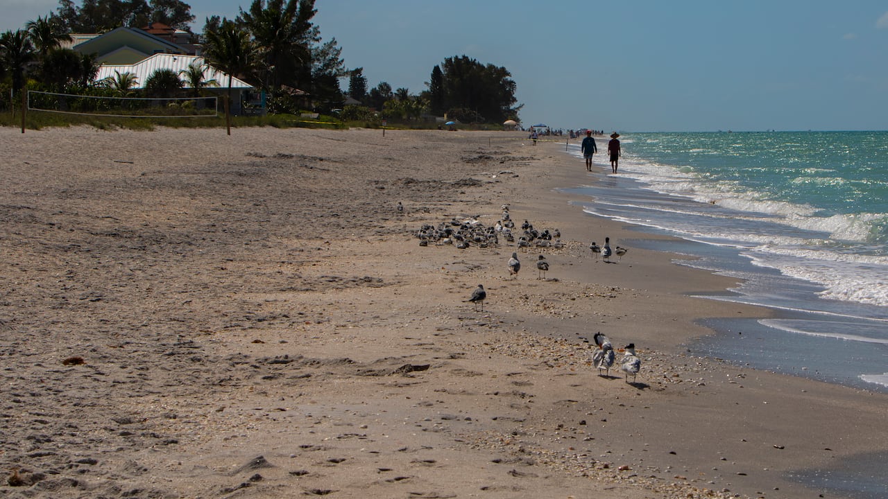 En esta playa fue encontrado el explosivo