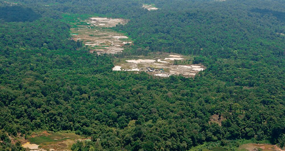 Guerra depredadora _4