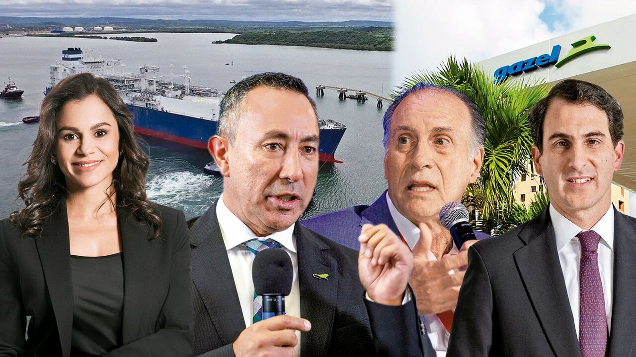 Luz Stella Murgas, Ricardo Roa, John Maya y Tomás González.