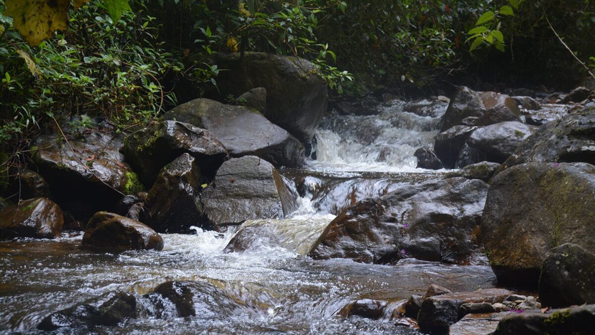 Contenido Mejor Colombia, Neiva