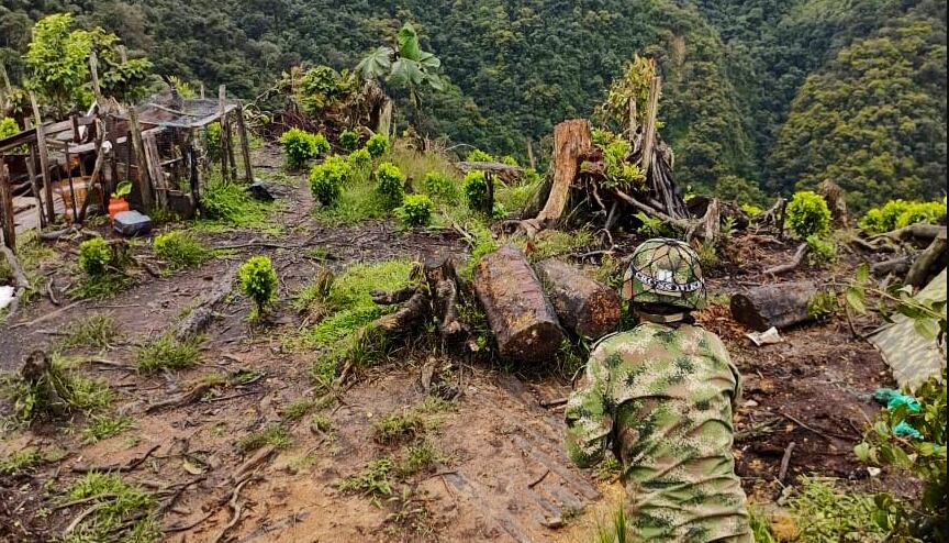 El enfrentamiento se presentó en la vereda Los Pinos de Argelia, en el sur del Cauca.