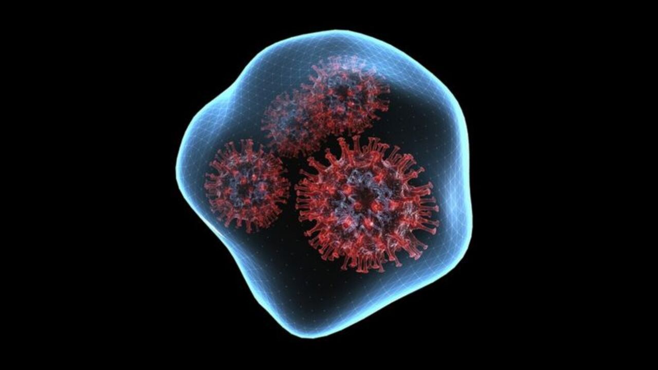 Las gotículas y aerosoles que flotan en el aire pueden transmitir el virus.