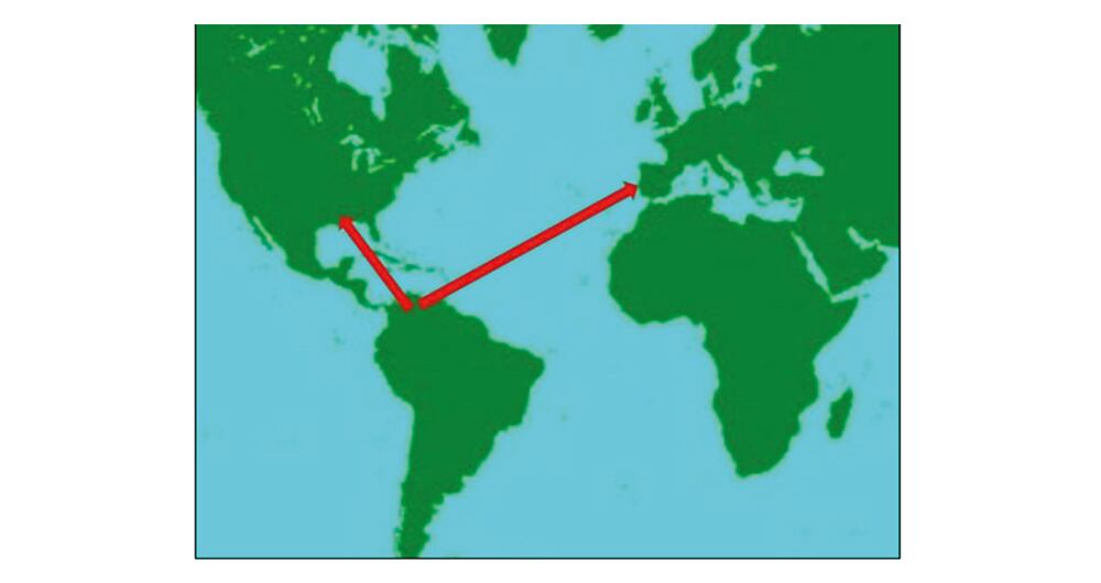 Los narcos de la fruta “envenenada”_3