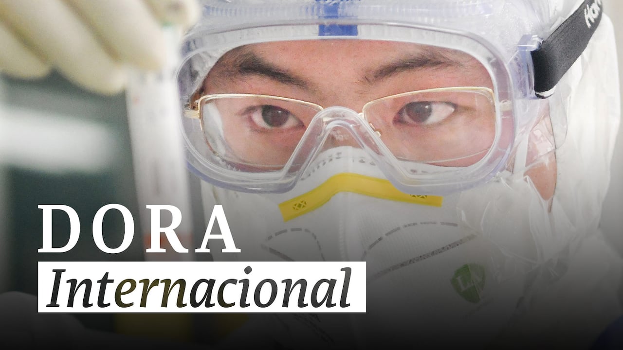 Dora Internacional - Wuhan