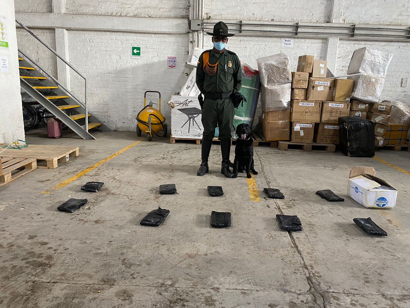 Simón ayudó a detectar 10 kilos de marihuana en una empresa de envíos.