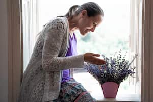 El secreto de un sueño tranquilo: identificando las plantas esenciales en el dormitorio