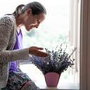 El secreto de un sueño tranquilo: identificando las plantas esenciales en el dormitorio