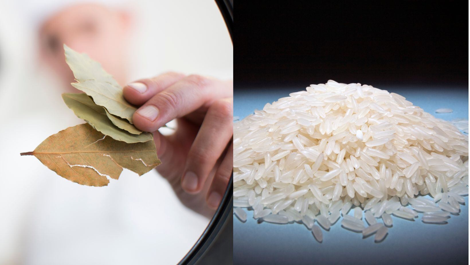 Laurel y arroz, así se debe preparar para fortalecer el cabello