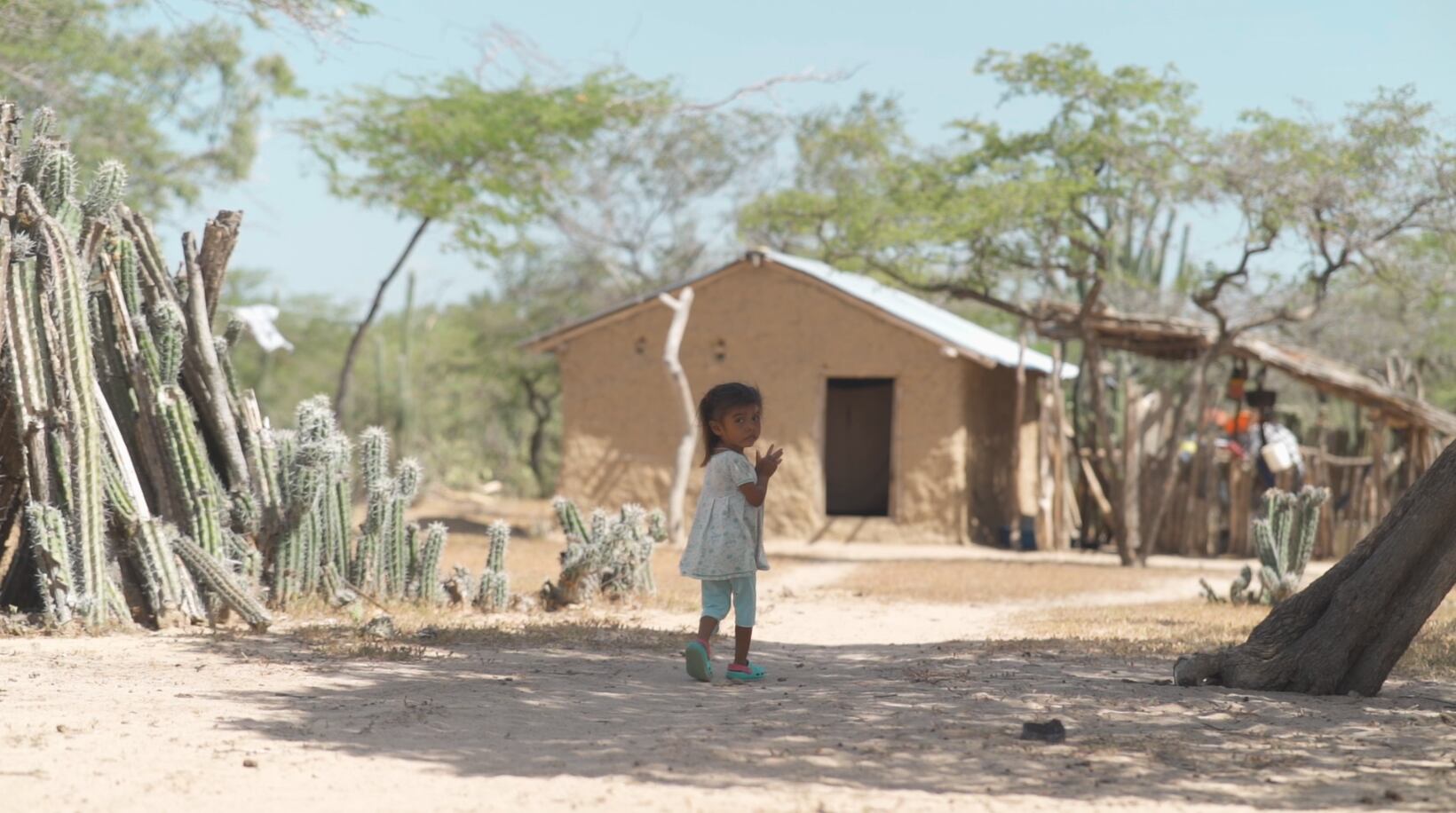 Los paisajes del hambre 2