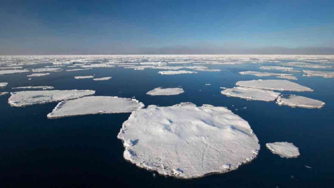 El hielo marino flotante en el Ártico cada vez es menor debido a las altas temperaturas que se registran en el lugar. Foto: Getty Images