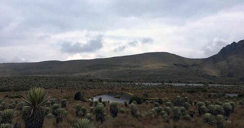 *Observatorio de Conflictos Ambientales. El Observatorio de Conflictos Ambientales hace parte del Instituto de Estudios Ambientales de la Universidad Nacional de Colombia, Sede Bogotá. Para mayor información, visitar oca.unal.edu.co (Foto: Lorena Cantor.)