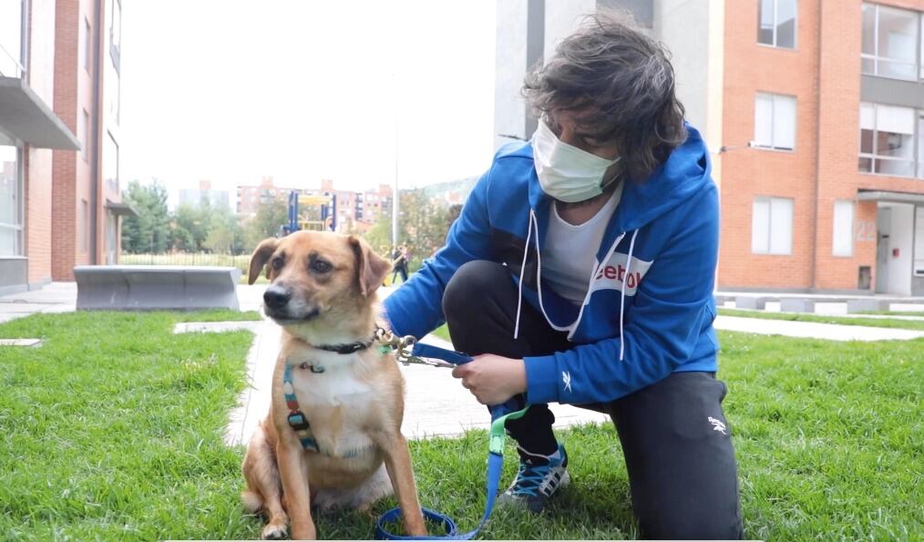 En caso de no viajar, también hay una serie de recomendaciones.