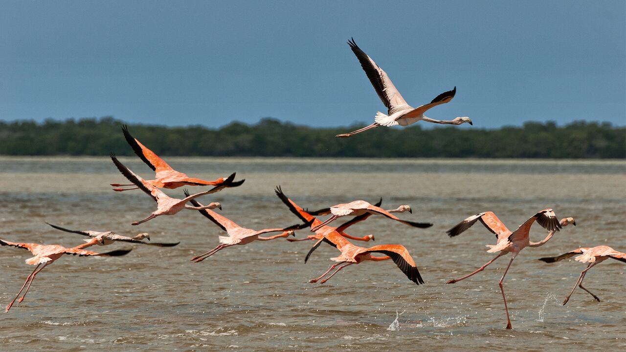 NO USAR, Especial Sostenibilidad, Banco de Occidente