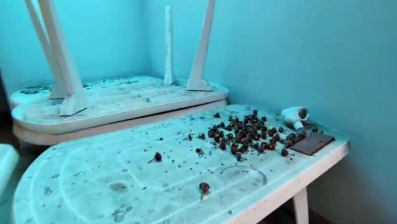 Tribunal de Bogotá le “jaló las orejas” SAE por “embolatar” la devolución de hoteles que fueron ocupados por la Fiscalía en Nariño