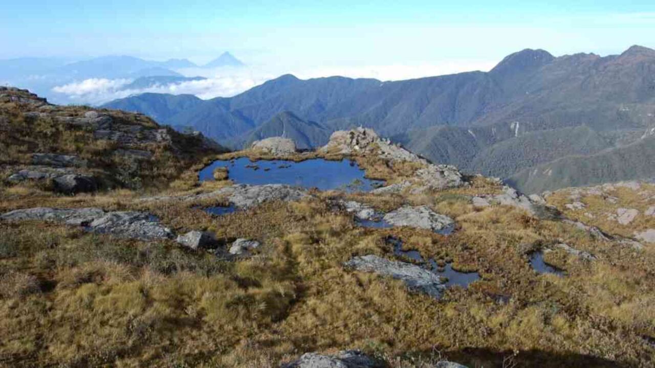 Farallones de Cali es el área protegida más grande del Valle del Cauca. Foto: PNN.