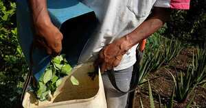 Agricultores se deben preparar para las condiciones climáticas.