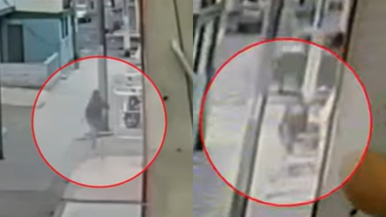 Presunta delincuente