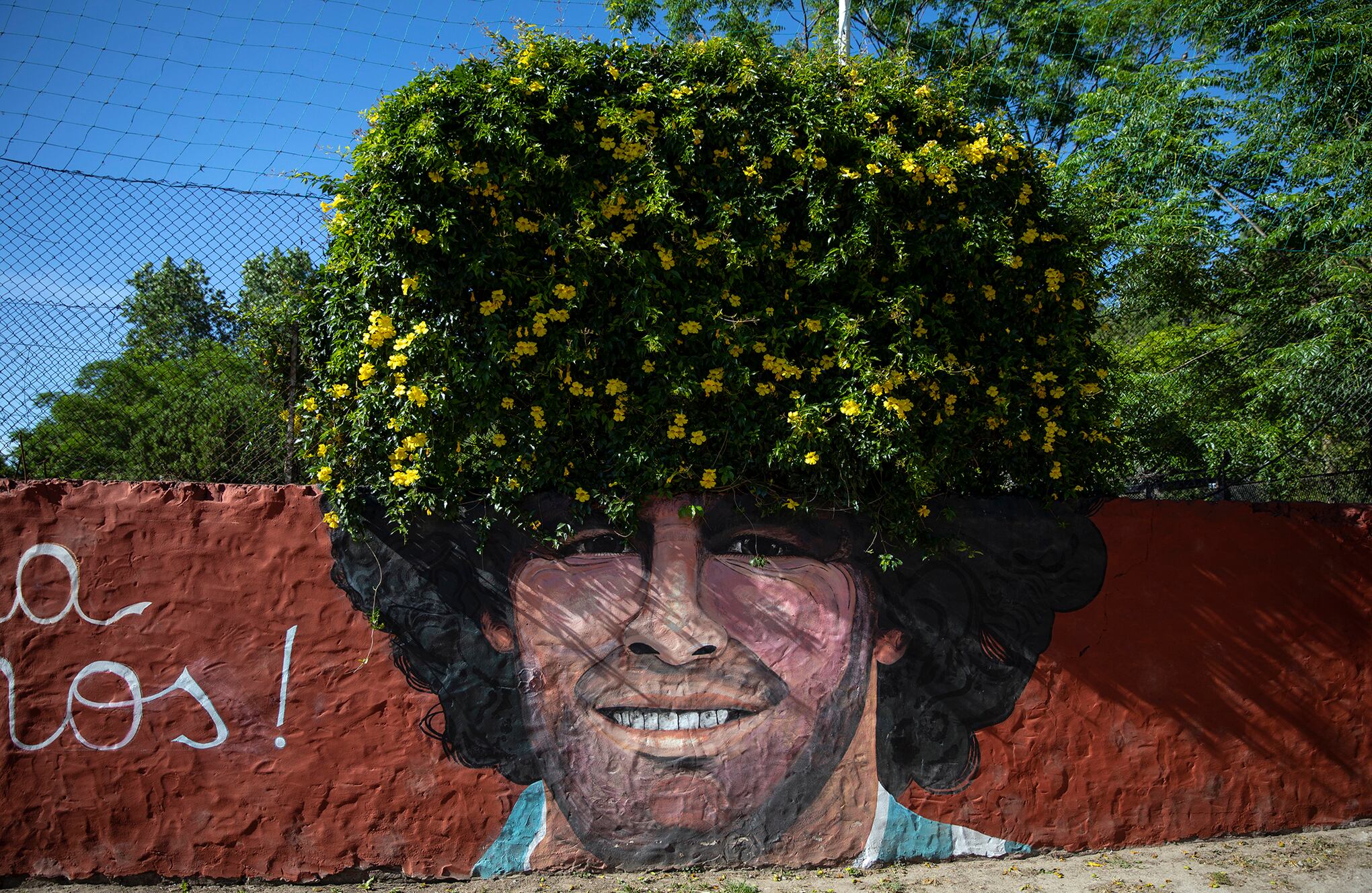 Fotos de la semana 26 nov