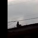 Una extraña aparición tiene conmocionados a los habitantes de Santander de Quilichao