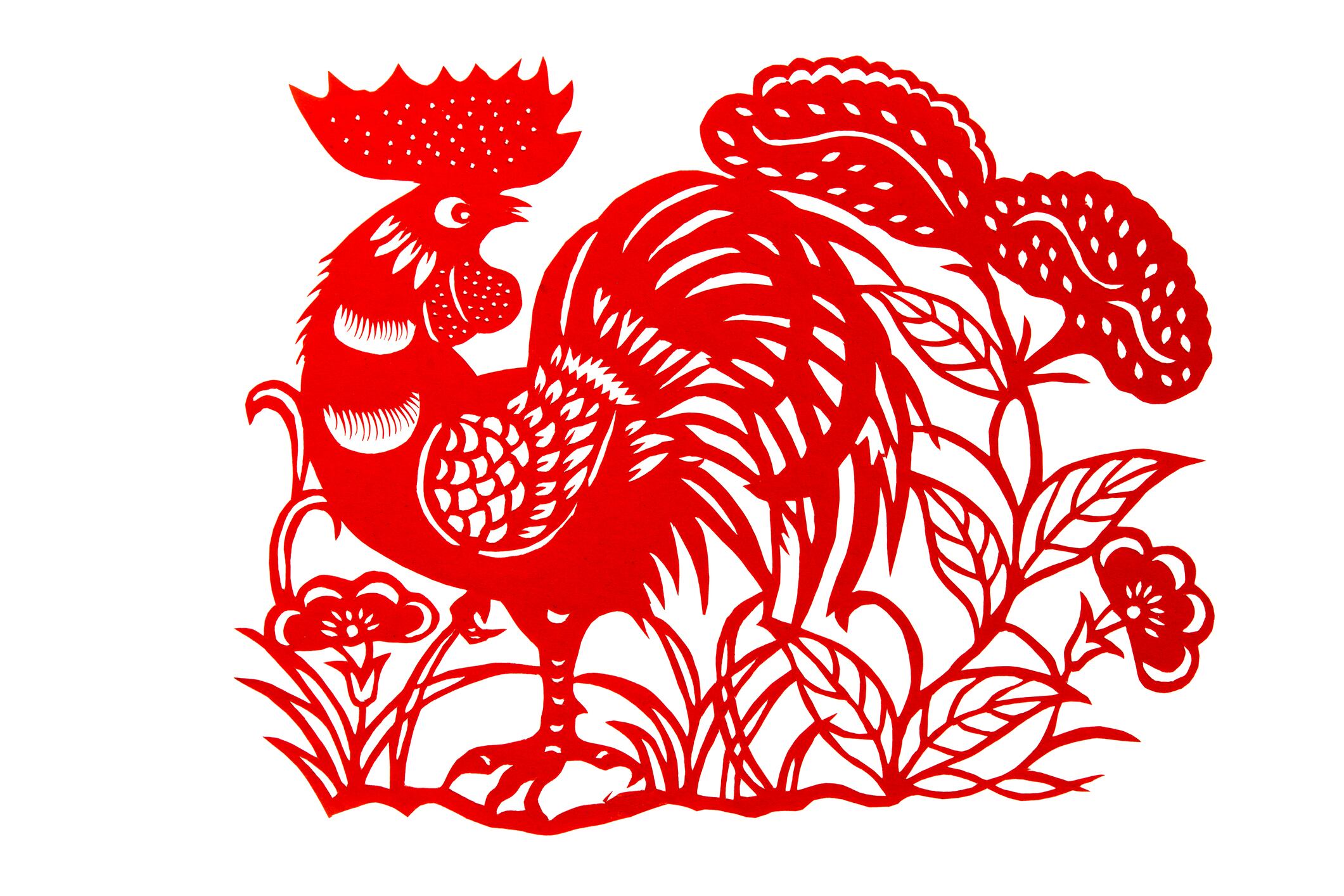 Gallo en el horóscopo chino. (Getty)