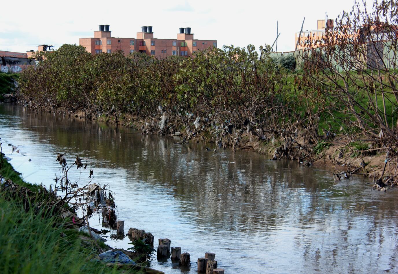 ¿Quién puede descontaminar el Rio Bogotá?
