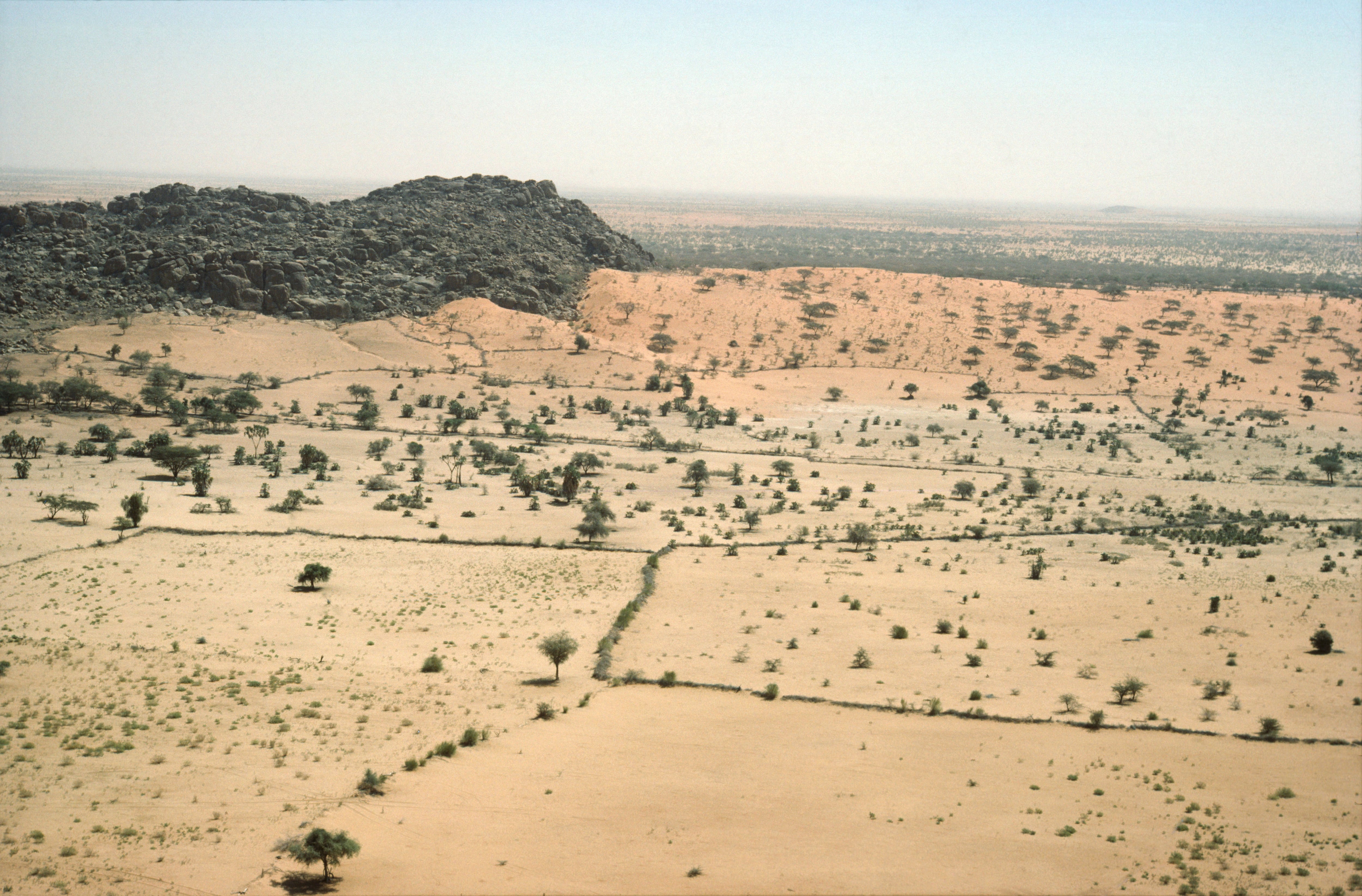 Paisaje - Sudán, provincia de Kordofán. Gran parte del Sahel está cubierta de arbustos. Imagen de referencia