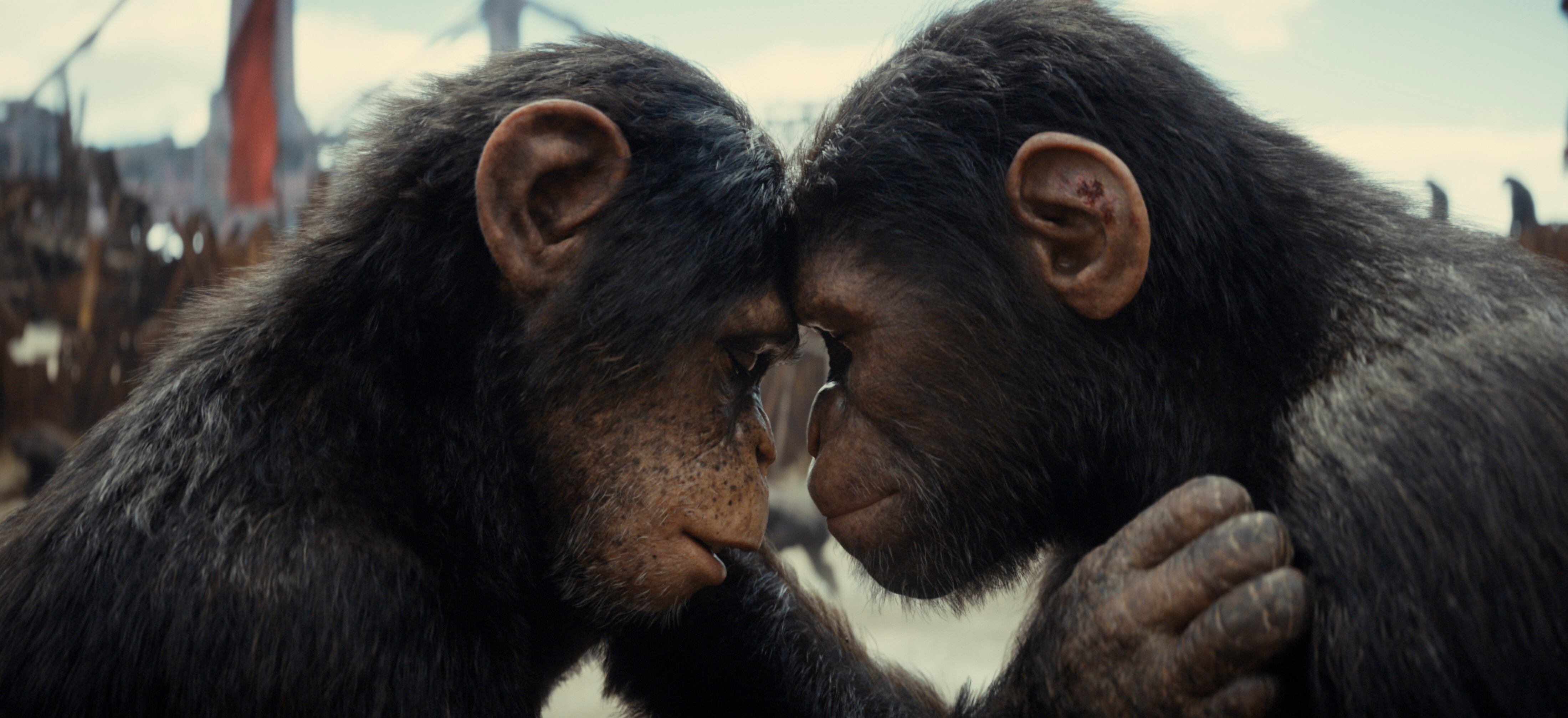 Soona y Noa  en KINGDOM OF THE PLANET OF THE APES.