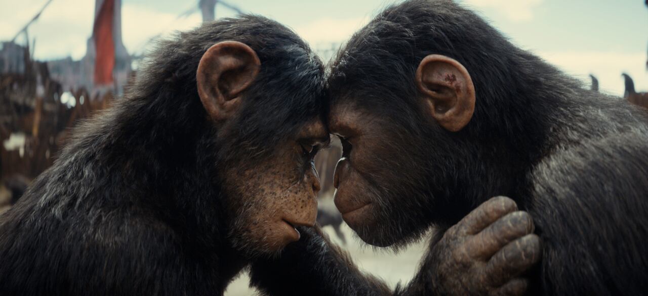 Soona y Noa en KINGDOM OF THE PLANET OF THE APES.