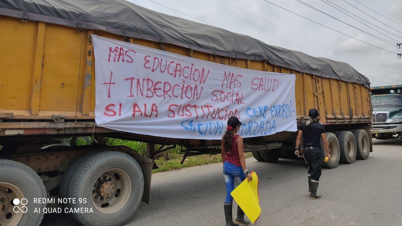 Cocaleros manifiestan que siguen las erradicaciones manuales de cultivos ilícitos por parte del Ejército Nacional.