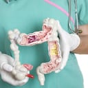 Comer fibra y evitar el gluten, son algunas recomendaciones para evitar el síndrome de intestino irritable.