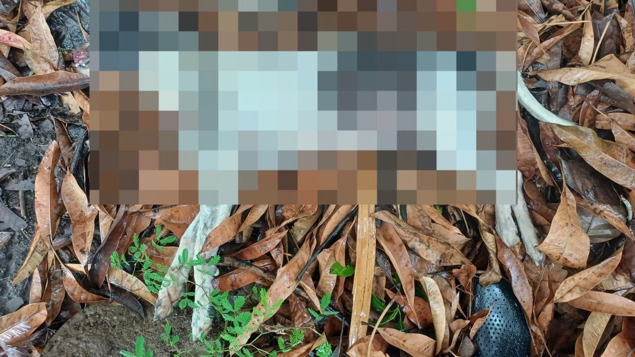 Los hechos habrían ocurrido en Sahagún, Córdoba.