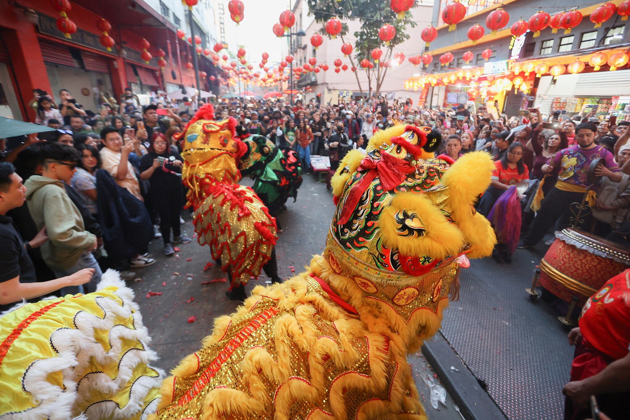 En imágenes: El Año del Conejo está a punto de comenzar