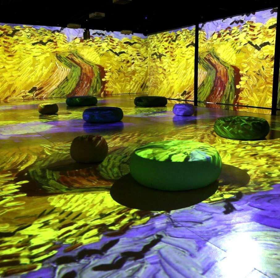 La exposición estará habilitada para todo tipo de público.