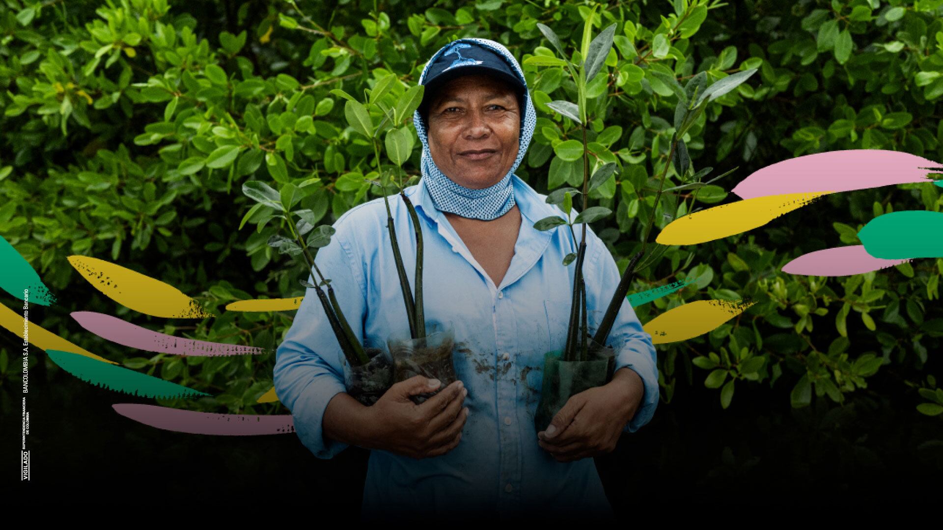 A través de la Línea de Economía Azul, Bancolombia desembolsó $603 mil millones para cuidar el mar