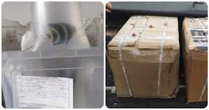 Recuperados en la terminal El Salitre 102 peces que eran movilizados ilegalmente desde el Caribe colombiano